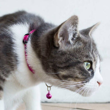 Rogz Fancy Lovebirds Cat Collar -